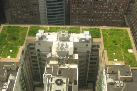 Why Do People Develop Roof Gardens