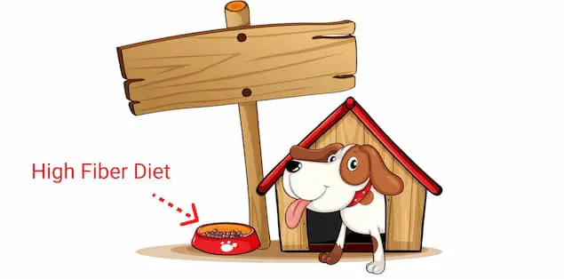 High Fiber Diet for Dogs