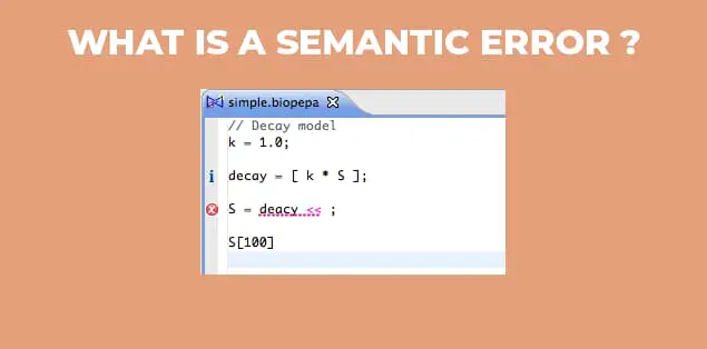 What is a Semantic Error?
