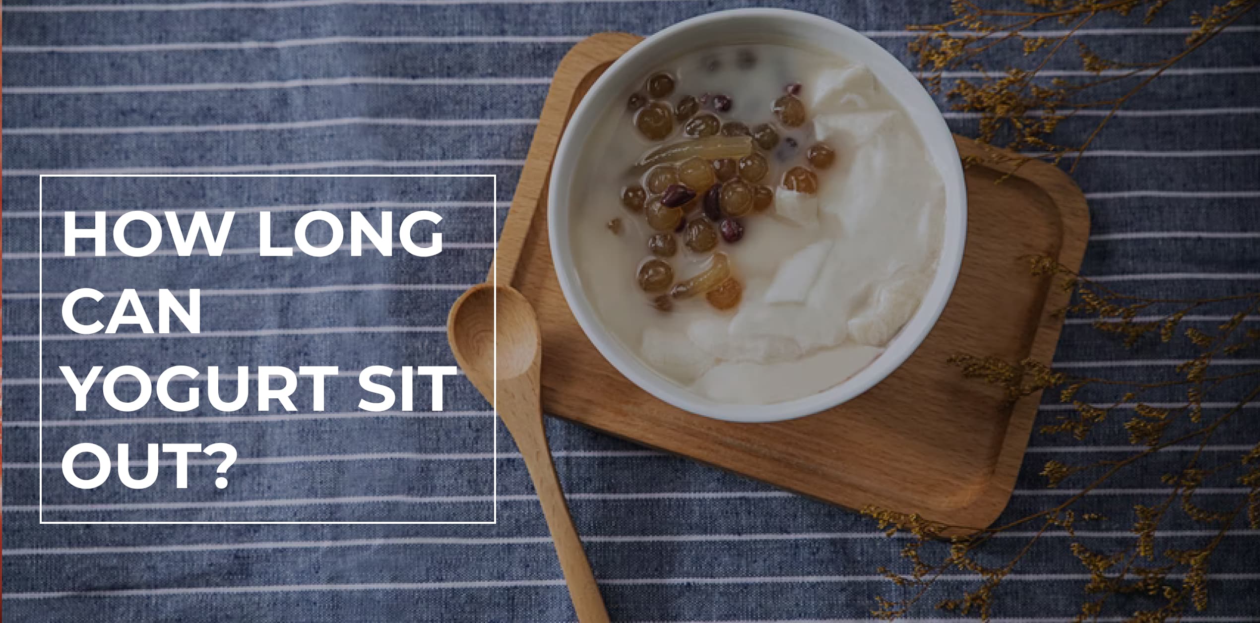 How Long Can Yogurt Sit Out