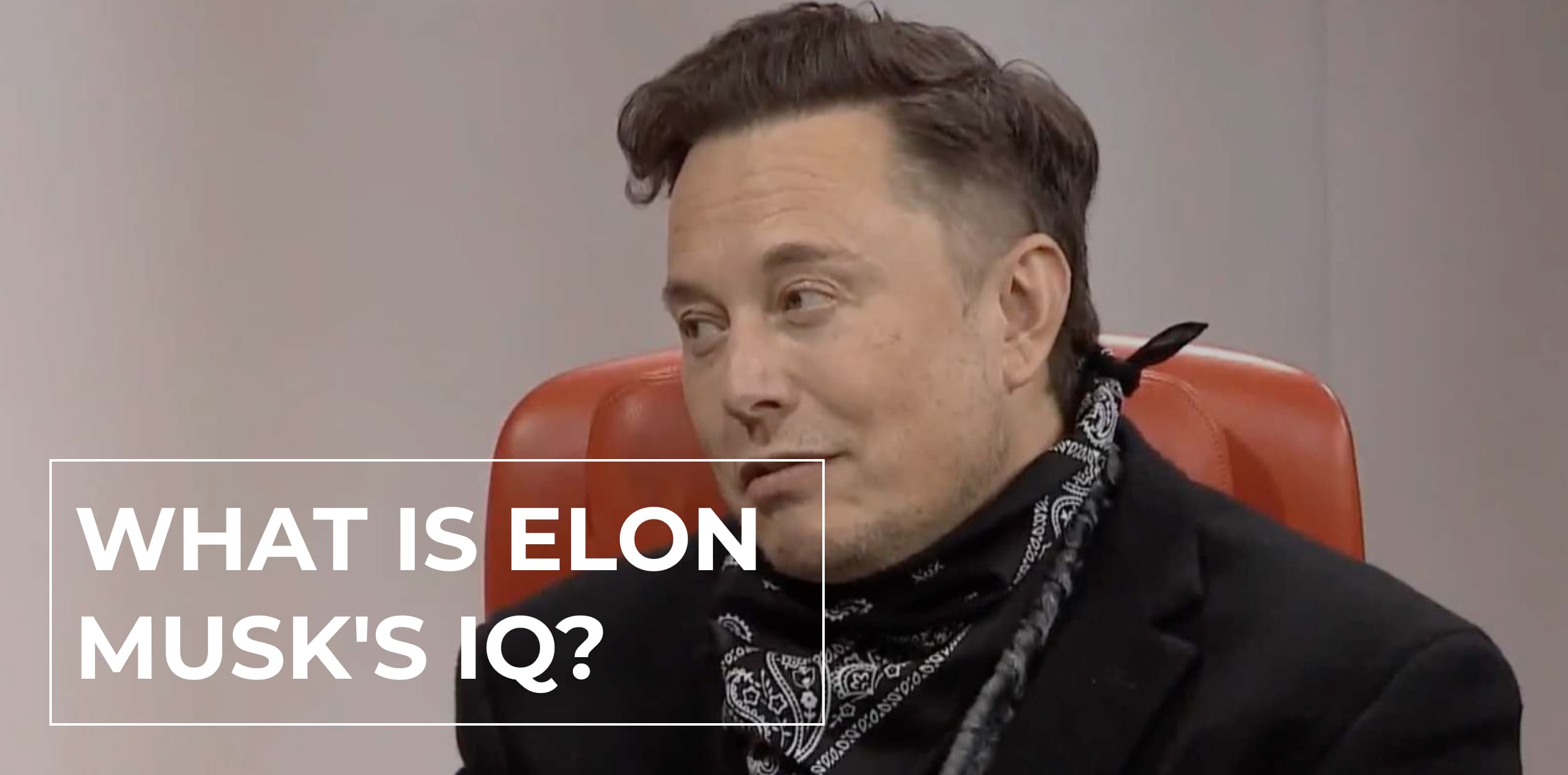 What is Elon Musk's IQ