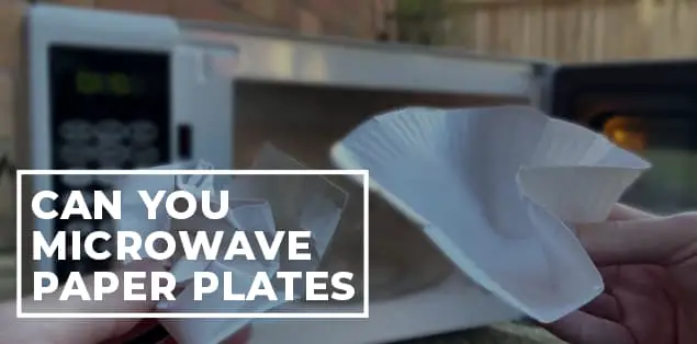 Can You Microwave Paper Plates