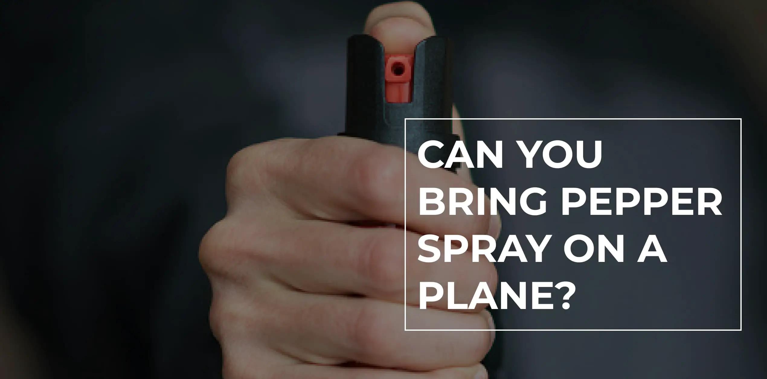 Can You Bring Pepper Spray on a Plane?