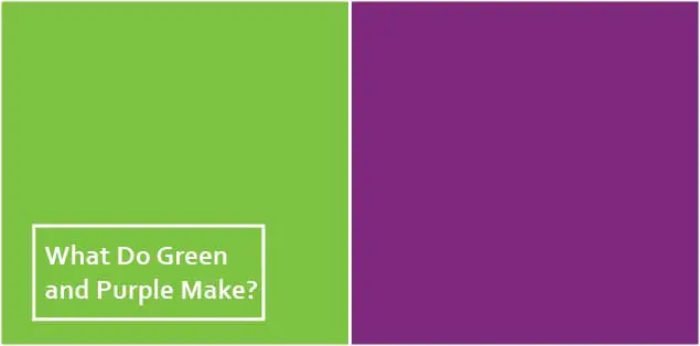 What Do Green and Purple Make