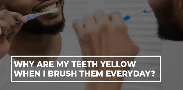 Why Are My Teeth Yellow When I Brush Them Everyday?