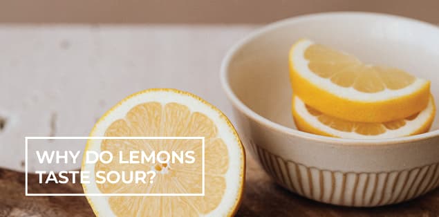 Why Do Lemons Taste Sour