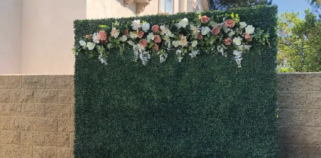 How to Make a DIY Flower Wall Backdrop?