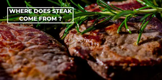 Where Does Steak Come From