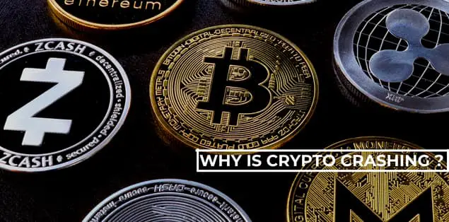 Why Is Crypto Crashing