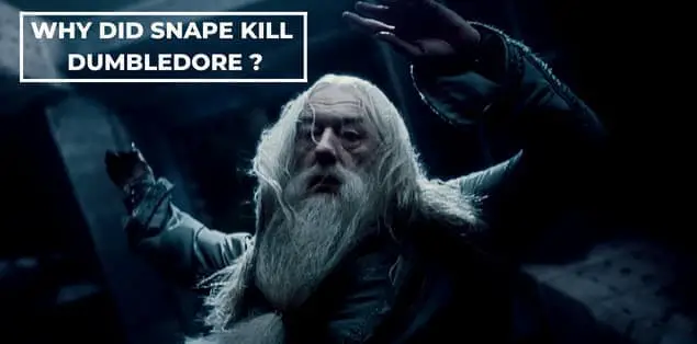 Why did snape kill dumbledore