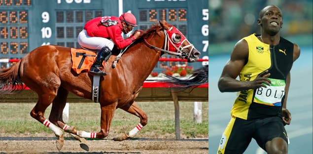 Is a Horse Faster Than Usain Bolt?