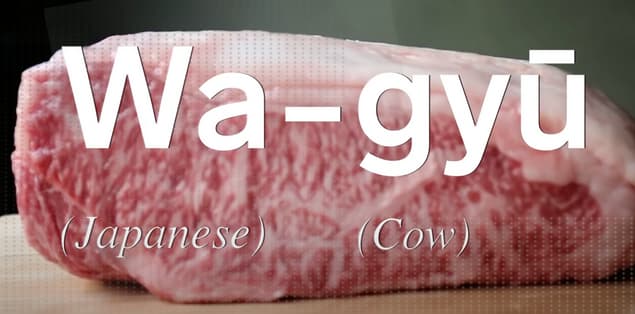 Where Does Wagyu Steak Come From?