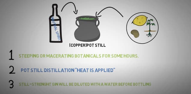 What is gin made from?