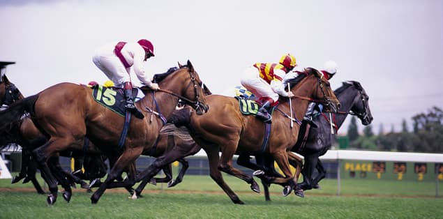 How Fast Can a Race Horse Run?