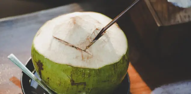 How Long Does It Take For Coconut Water To Freeze?