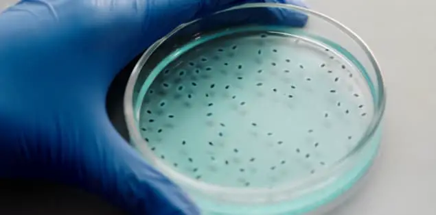 How Long Does Boiling Water Take to Kill Bacteria?