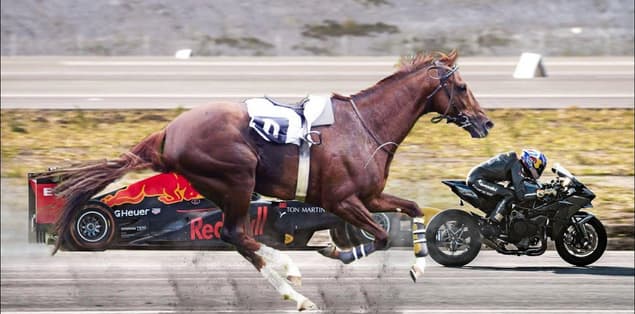 What Is the Fastest Horse to Ever Run?