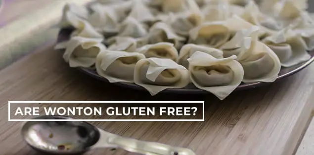 Are Wontons Gluten Free