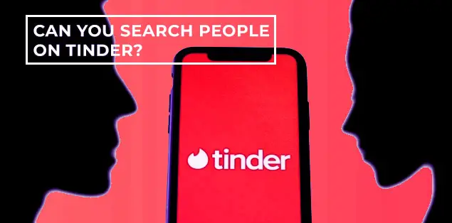Can You Search People on Tinder