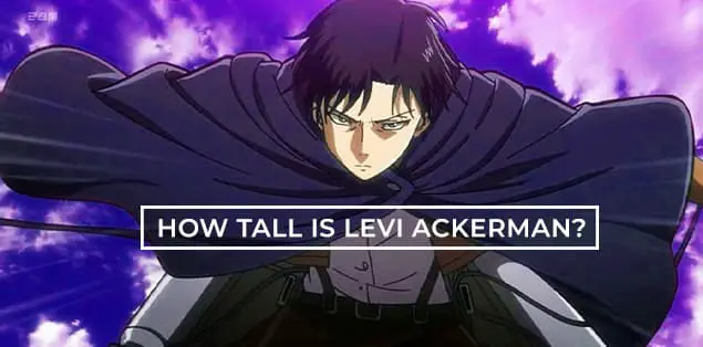 How Tall is Levi Ackerman