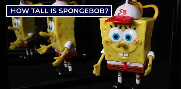 How Tall is Spongebob