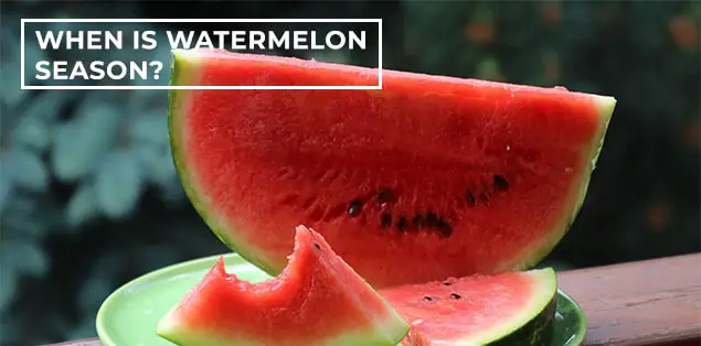 When is Watermelon Season