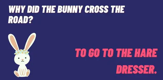 Why did the bunny cross the road? To go to the hare dresser.