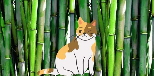 Is Bamboo Bad for Cats?