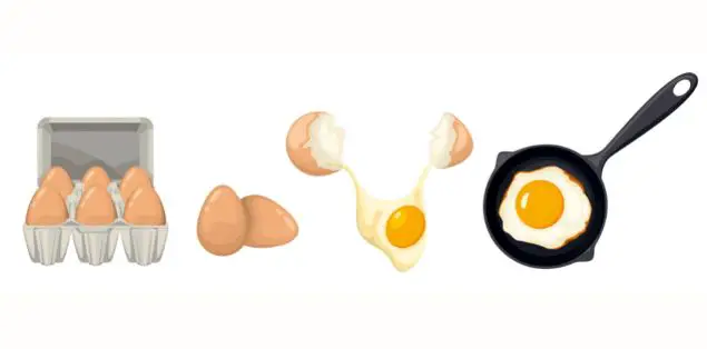 Is Frying an Egg a Chemical or Physical Change?
