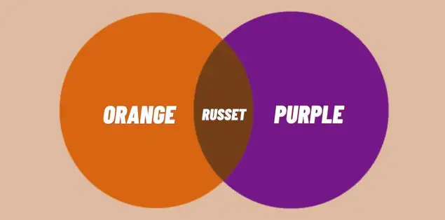 What Color Do Orange and Purple Make?