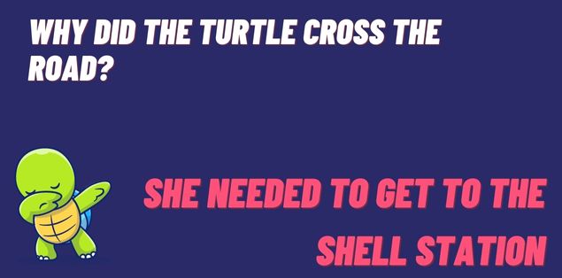 Why did the turtle cross the road? She needed to get to the shell station
