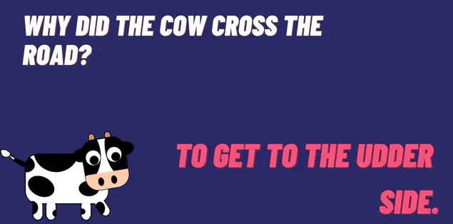 Why did the cow cross the road? To get to the udder side.