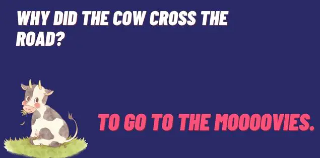 Why did the cow cross the road? To go to the moooovies.