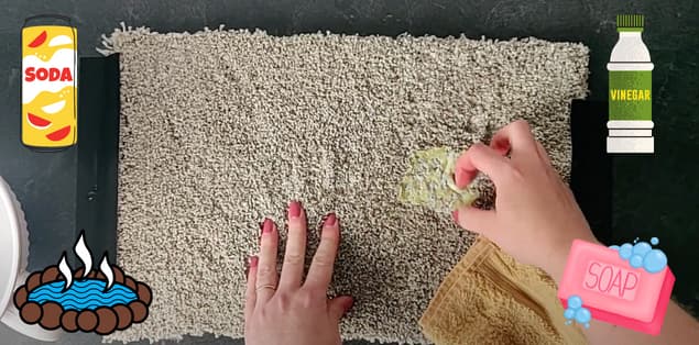 BEGIN TO REMOVE THE SLIME FROM THE CARPET