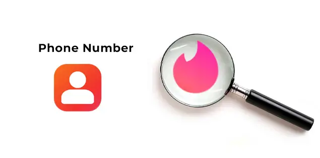 Can You Search Someone on Tinder by Phone Number?