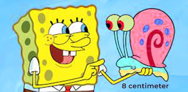 How Tall Is Gary From Spongebob?