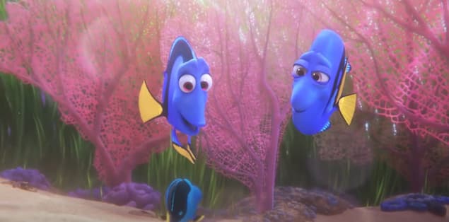 What Color Is Dory the Fish?