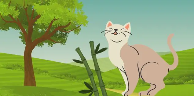 What Happens if a Cat Eats Bamboo?
