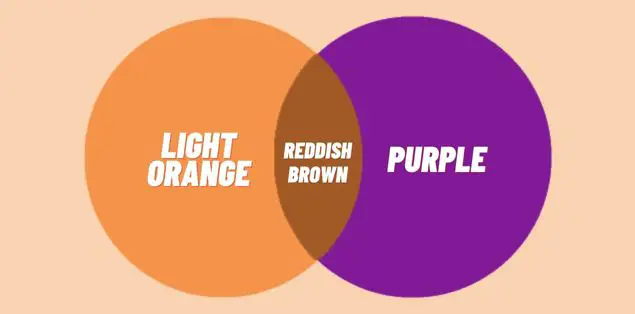 What Color Do Light Orange and Purple Make?