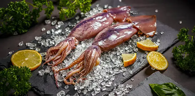 What Is Calamari Made From?