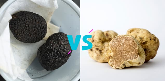 Black Truffle vs. White Truffle