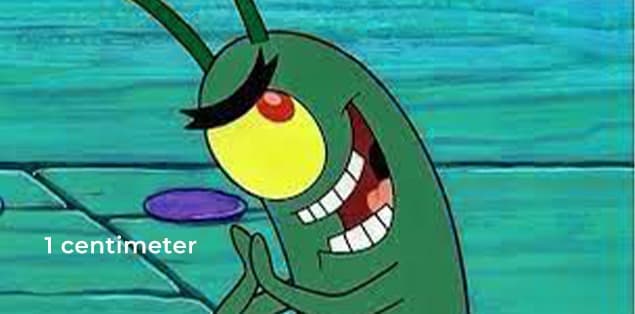 How Tall Is Plankton From Spongebob?