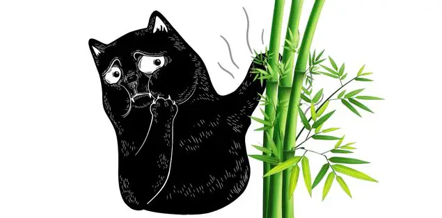 How To Prevent Your Cat From Consuming Bamboo Leaves?