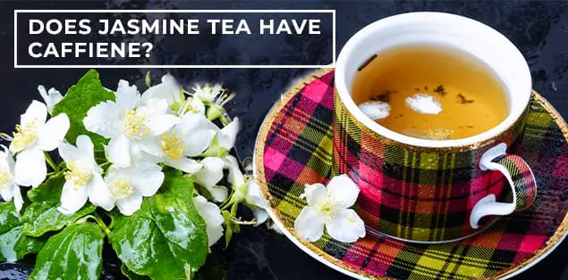 Does Jasmine Tea Have Caffeine