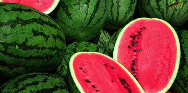 When Is Watermelon Season in Georgia?