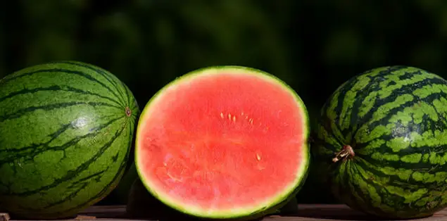 What State has the Best Watermelons?
