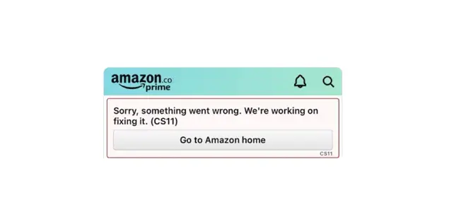 What is CS 11 Error on Amazon?