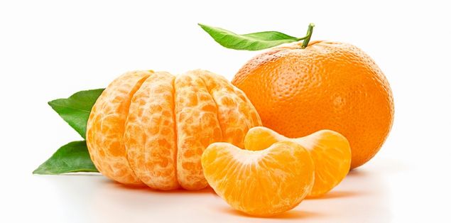 Can Bearded Dragons Eat Mandarin Oranges?