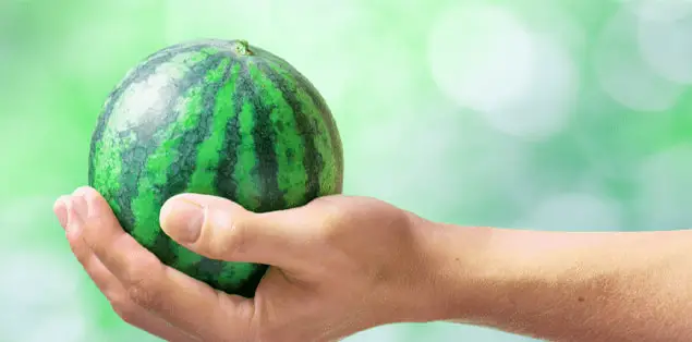 Miniature watermelons
