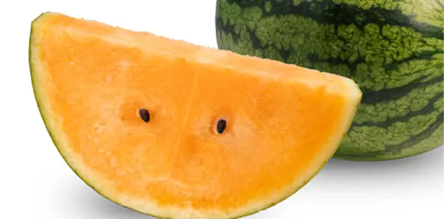 Melons with yellow or orange flesh